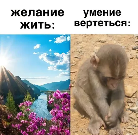 Желание жить и умение вертеться