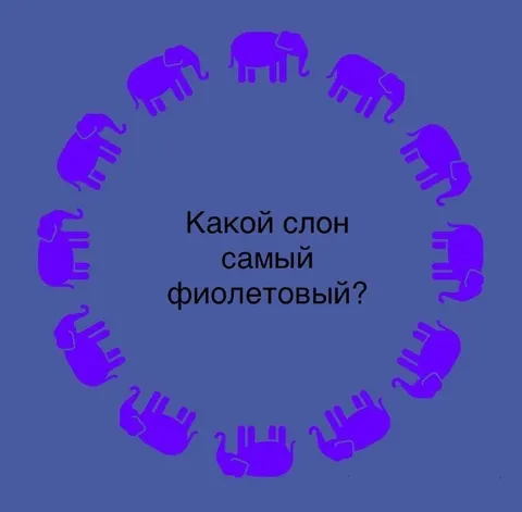 Какой слон самый фиолетовый