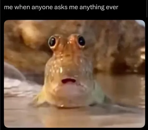 Stunned Fish Reaction