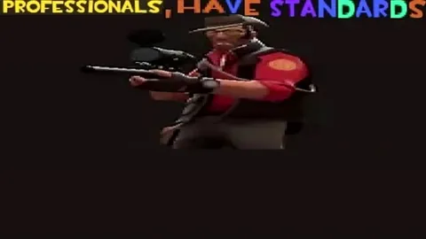 Professionals Have Standards