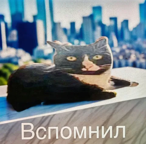 Кот внезапно вспомнил