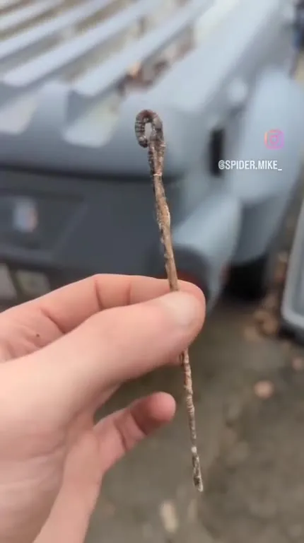 Загадочный ржавый крючок