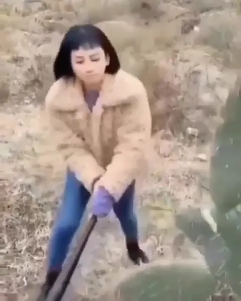 Женщина сражается с кактусом