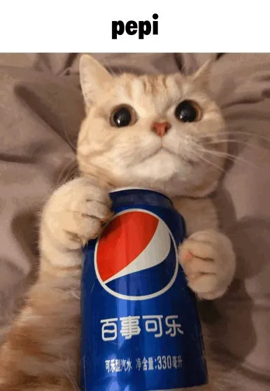 Cat Holding a Pepsi Can
