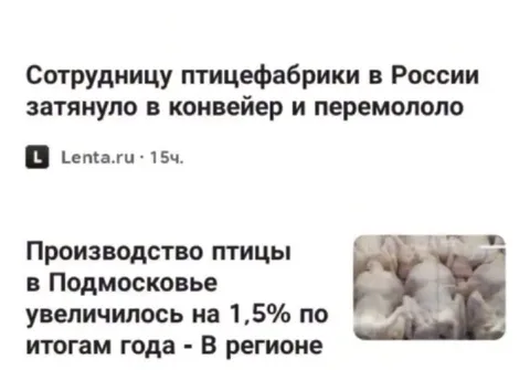 Птицефабрика и рост производства