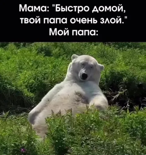 Папа очень злой