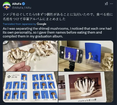 きのこの卒業アルバム