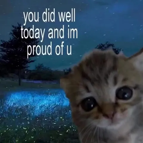 Proud of You Kitten