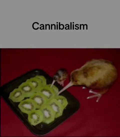 Cannibalism Kiwi Mouse Joke