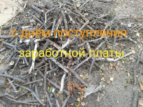 Зарплата — куча веток