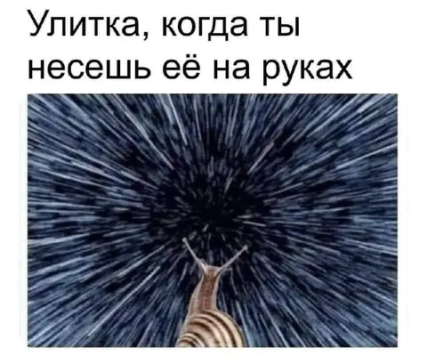 Улитка на руках