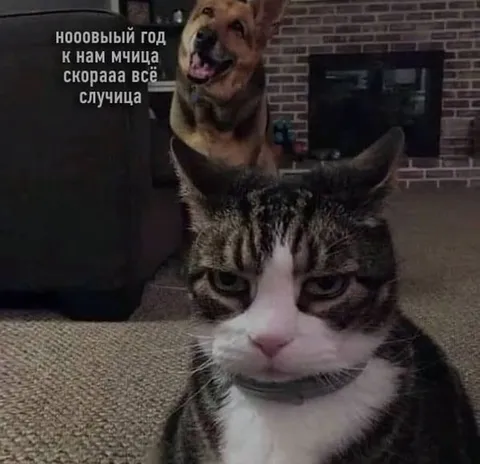 Нооовый год приближается