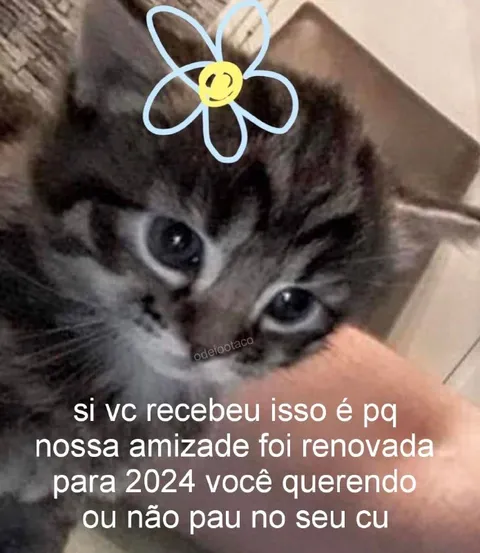 Amizade renovada para 2024
