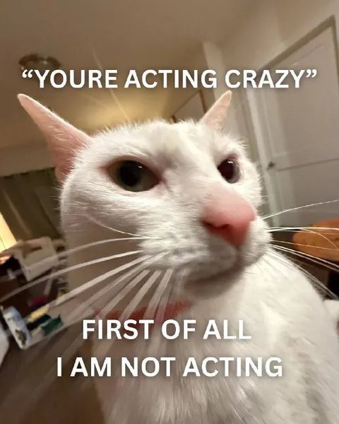 First of All I Am Not Acting