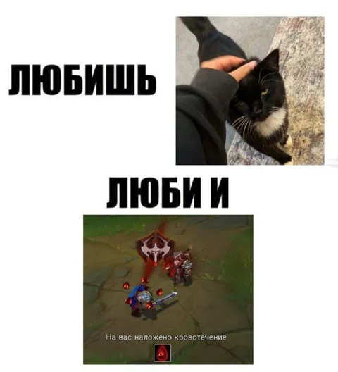 Любишь — люби и кровотечение