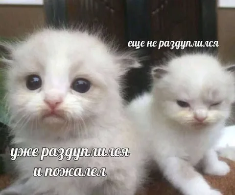 Уже раздуплился и пожалел