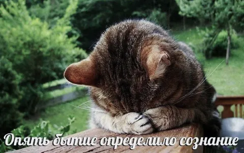 Опять бытие определило сознание