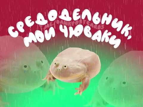 Specialy Now Track Frog