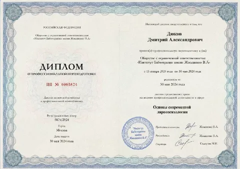 Диплом по современной лирологии