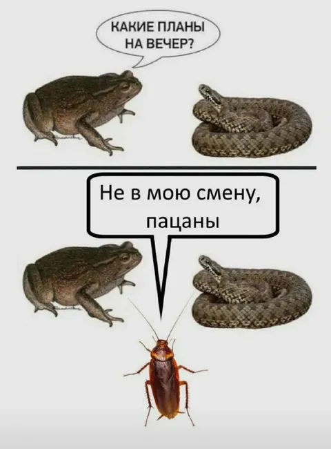 Не в мою смену, пацаны