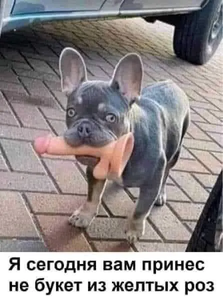 Не букет из жёлтых роз