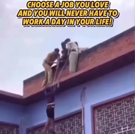 Choose a Job You Love