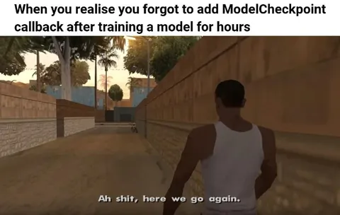 Forgot the ModelCheckpoint Callback