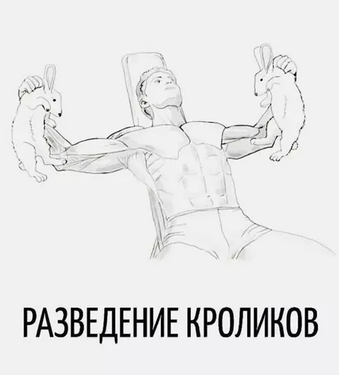Разведение кроликов в спортзале