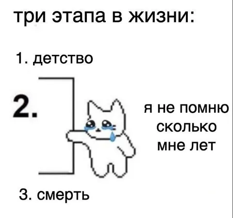 Три этапа жизни и возраст