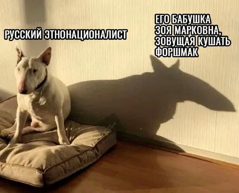 Русский этнонационалист и бабушка