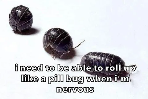 Nervous Pill Bug Roll-Up