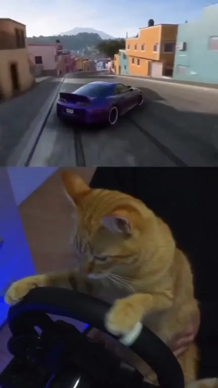 Cat Drifts a Purple Sports Car