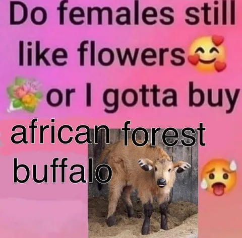Do Females Still Like Flowers