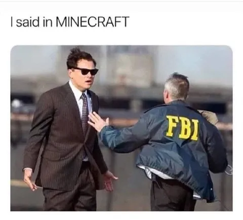 I Said It in Minecraft