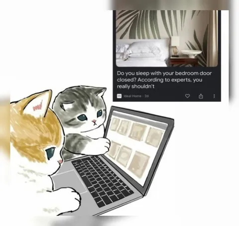 Cats Reading Bedroom Advice