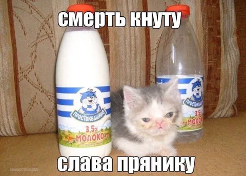 Смерть кнуту, слава прянику
