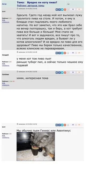 Вредно ли коту пиво?