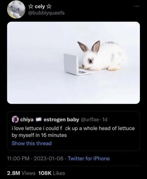 Rabbit Loves Lettuce