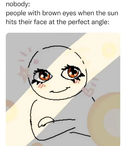Brown Eyes in Perfect Sunlight