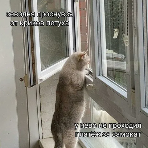 Платёж за самокат не прошёл