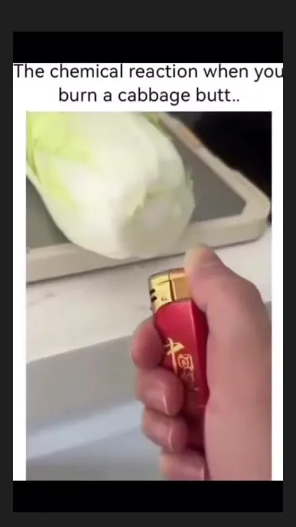 Cabbage Butt Chemical Reaction