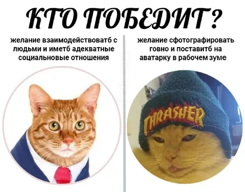 Кто победит: кот в костюме или гопник