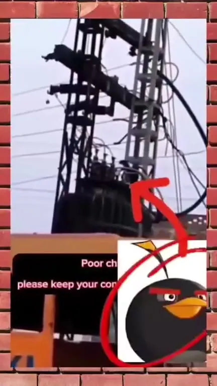 Angry Bird Beats the Power Grid