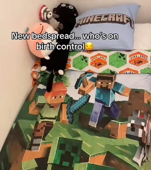 Minecraft Birth Control Bedspread