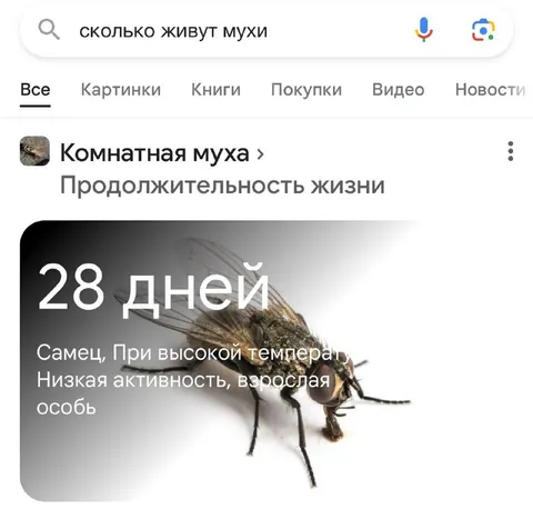 Муха прожила дольше Concord