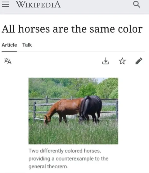 All Horses Are the Same Color