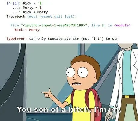 You Son of a Bitch, I’m Int