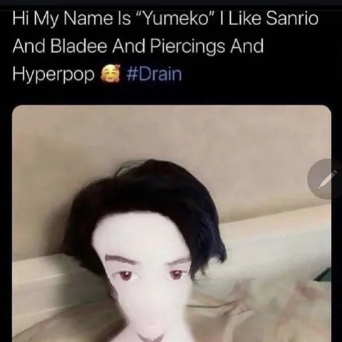 Yumeko Likes Hyperpop