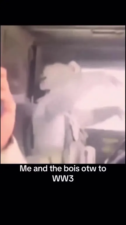 Me and the Bois Going to WW3
