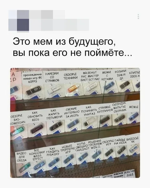 Мем из будущего на флешках